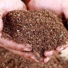 干貨!用這10種“廢品”養月季花、梔子花,比買來的營養土都好使