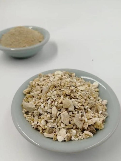 什么腐葉土 營養土,都不如 這些垃圾 ,討花草喜歡