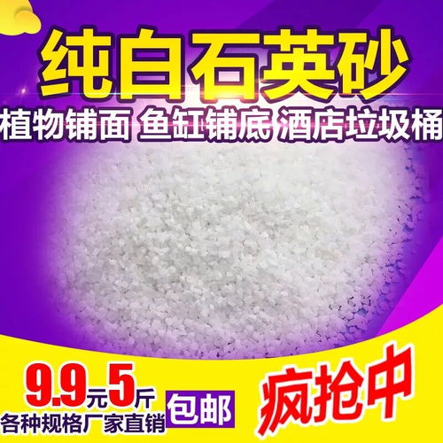 多肉植物專用顆粒土——綠沸石、火山石、陶粒與麥飯石的完美組合