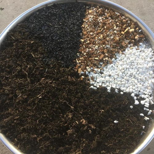 2位高材生一年賣“土”做到行業老大，月賺4000萬的營養土生意，你看懂了嗎？