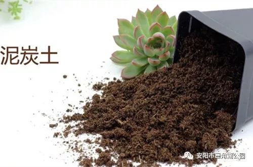花卉營養土的科學配制方法