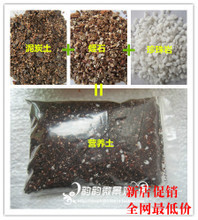 泥炭土、珍珠巖與蛭石 打造理想營養土的全方位指南