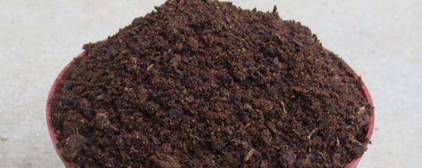 家庭育苗營養土的科學配比與制作方法