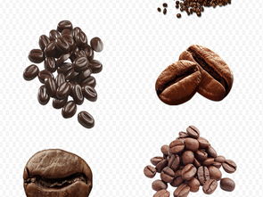 手繪卡通食品素材 可可巧克力咖啡豆的創意應用與資源下載